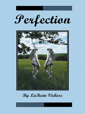 cover image of Perfection